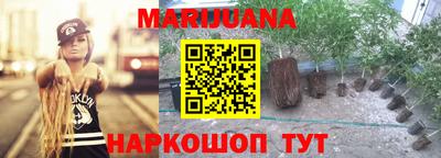 гидропоника Гатчина