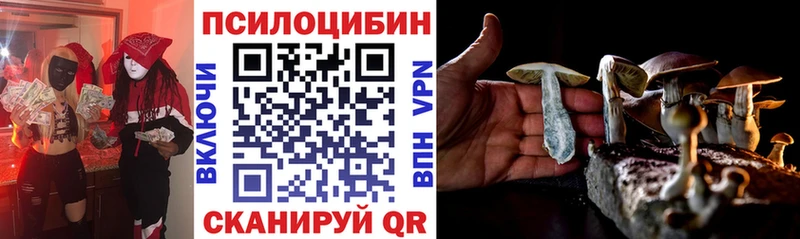 Галлюциногенные грибы Psilocybine cubensis  Кропоткин 