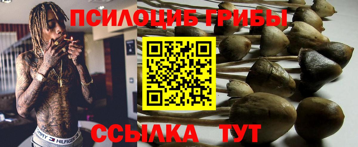 Галлюциногенные грибы прущие грибы  Вход с VPN  Кропоткин 