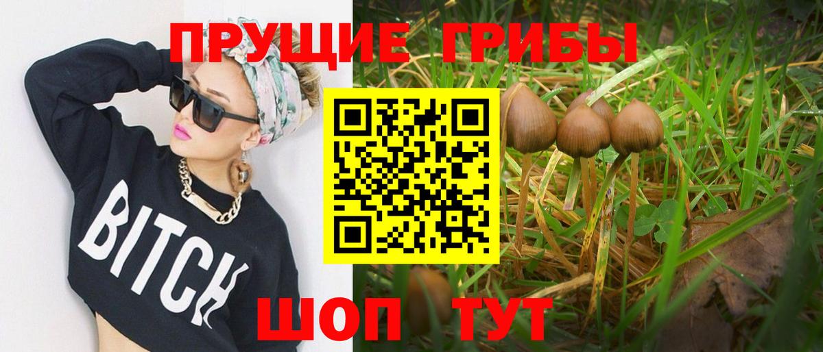 Псилоцибиновые грибы мухоморы Кропоткин