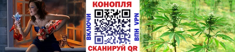 Конопля SATIVA & INDICA  Кропоткин 